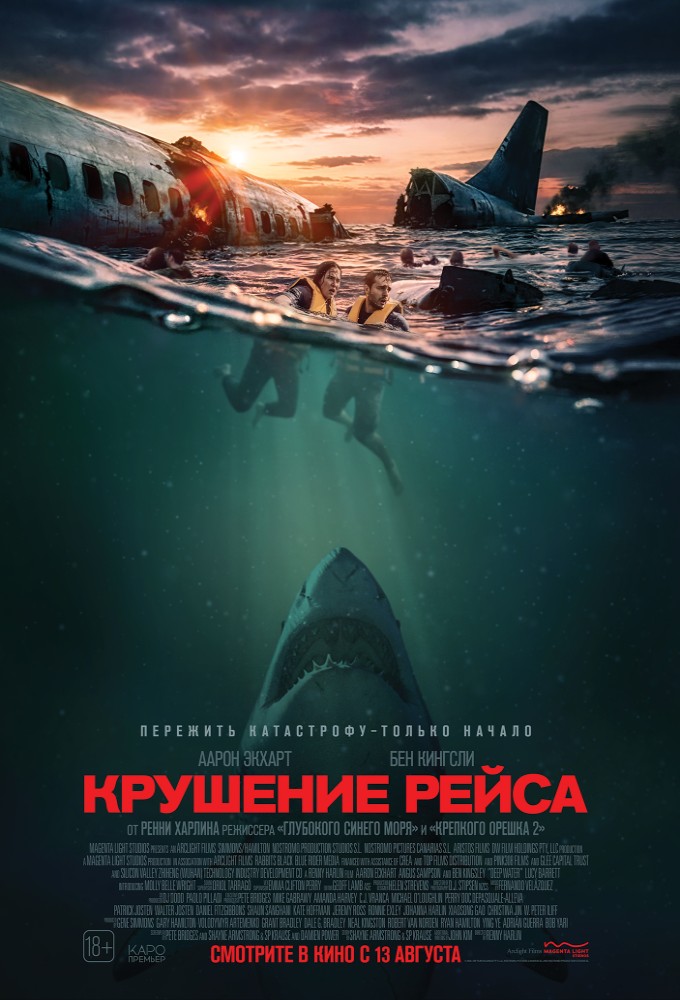 Постер релиза Крушение рейса